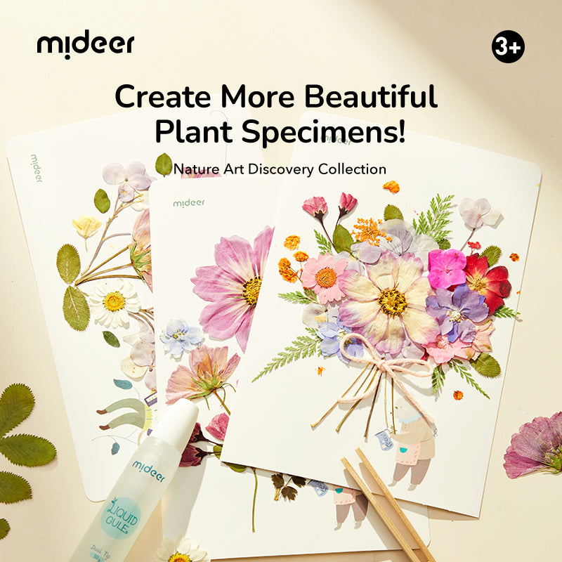 Kūrybinis gamtos meno rinkinys