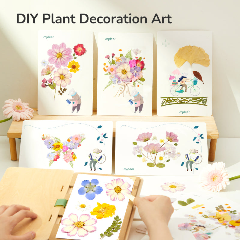 Kūrybinis gamtos meno rinkinys