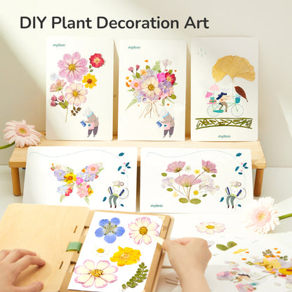 Kūrybinis gamtos meno rinkinys