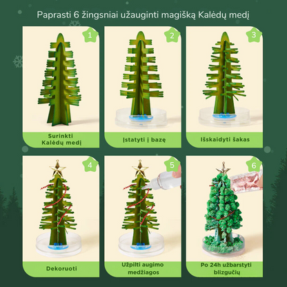 Magiškas Kalėdų medis - kristalų auginimo rinkinys