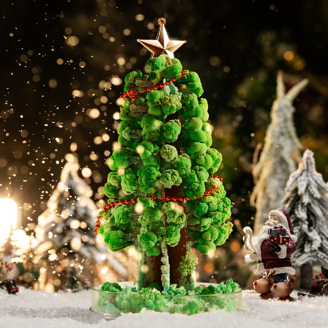 Magiškas Kalėdų medis - kristalų auginimo rinkinys