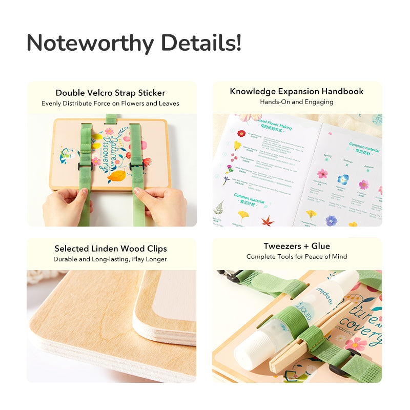 Kūrybinis gamtos meno rinkinys