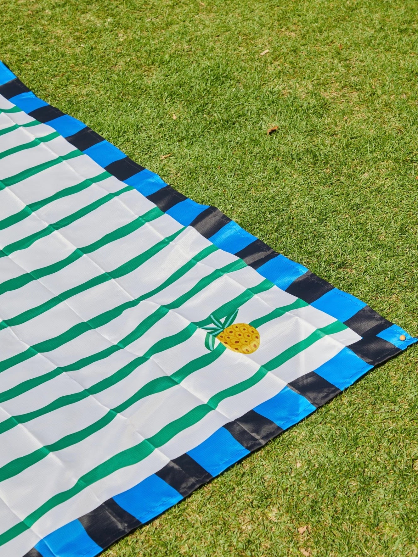 Vandeniui atsparus pikniko kilimėlis "Summit Bazaar"