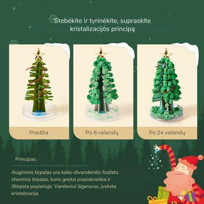 Magiškas Kalėdų medis - kristalų auginimo rinkinys