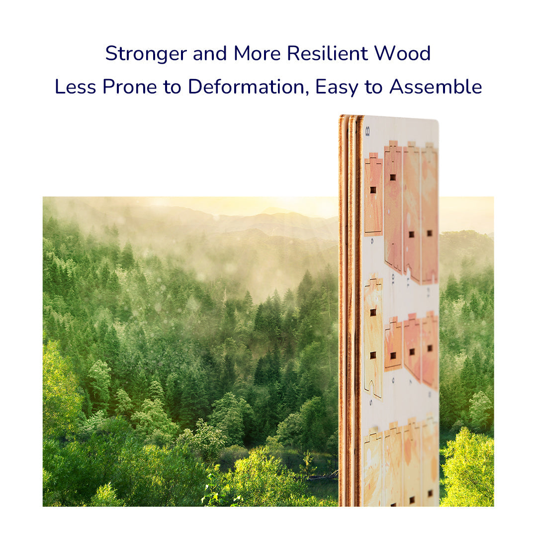 Koka 3D mīkla: Apis Mellifera